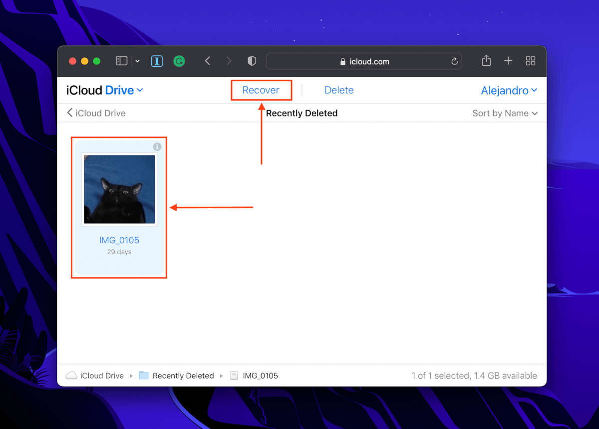 recover button in iCloud Drive