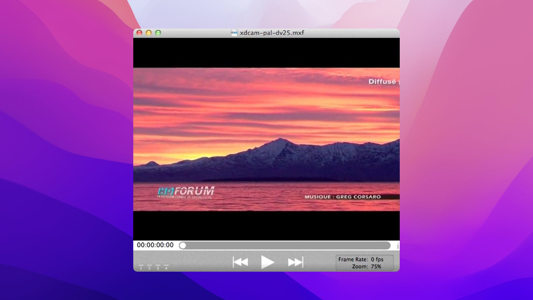 MXF player for Mac with basic features.