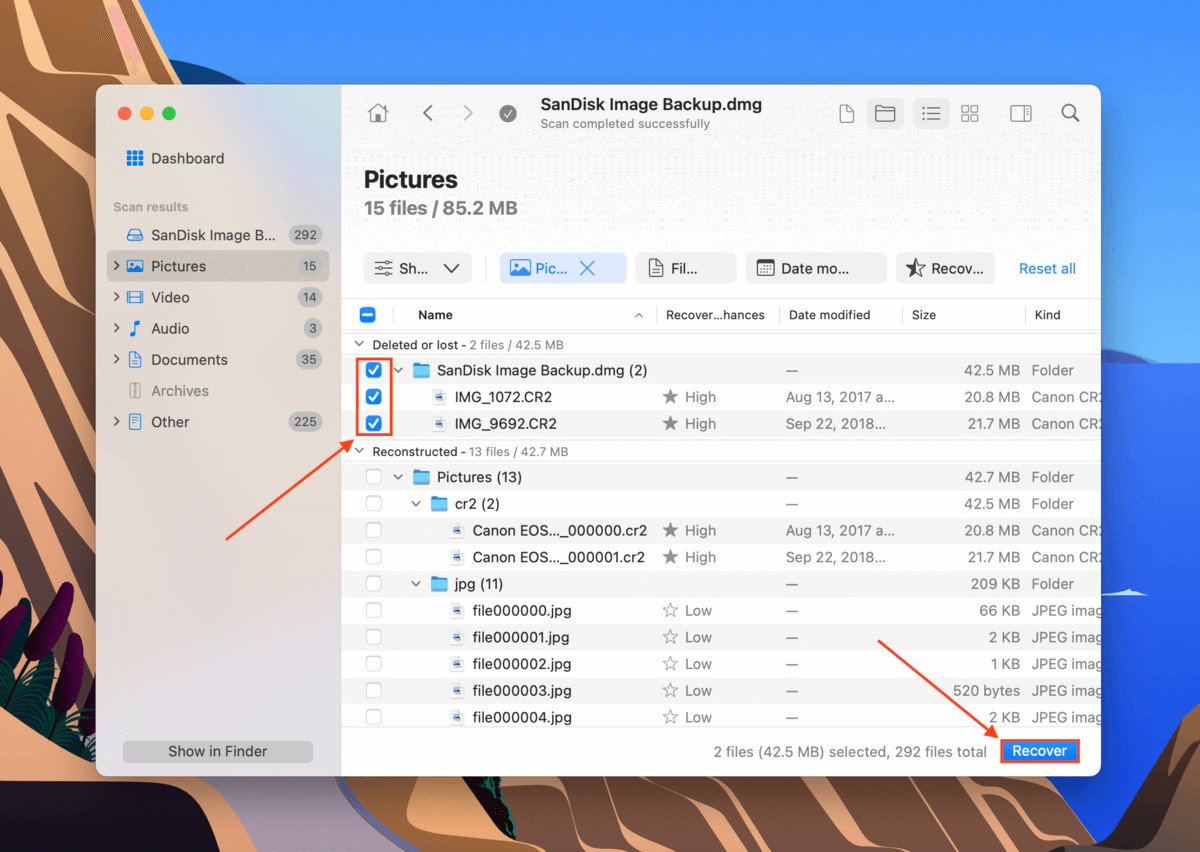 file selection window in Disk Drill