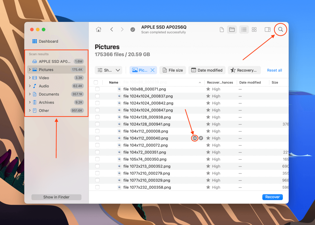 Disk Drill preview and filter found files