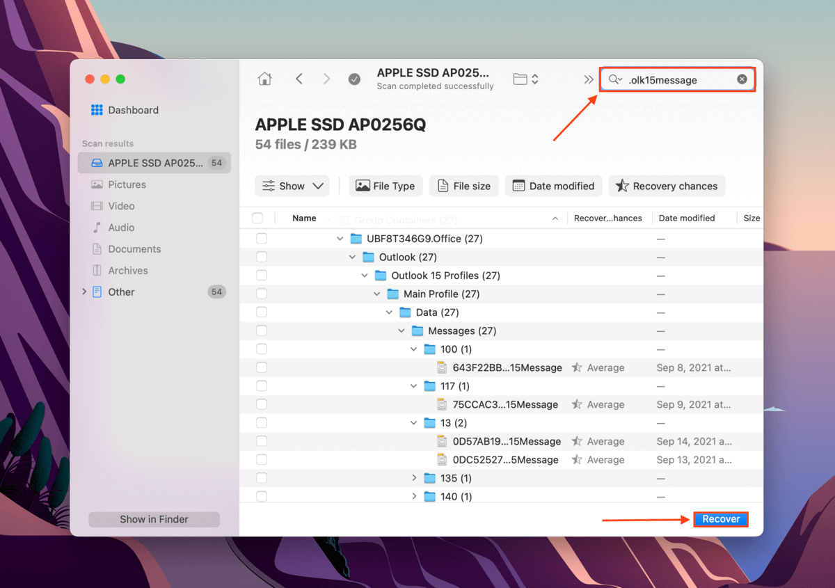 Disk Drill search tool