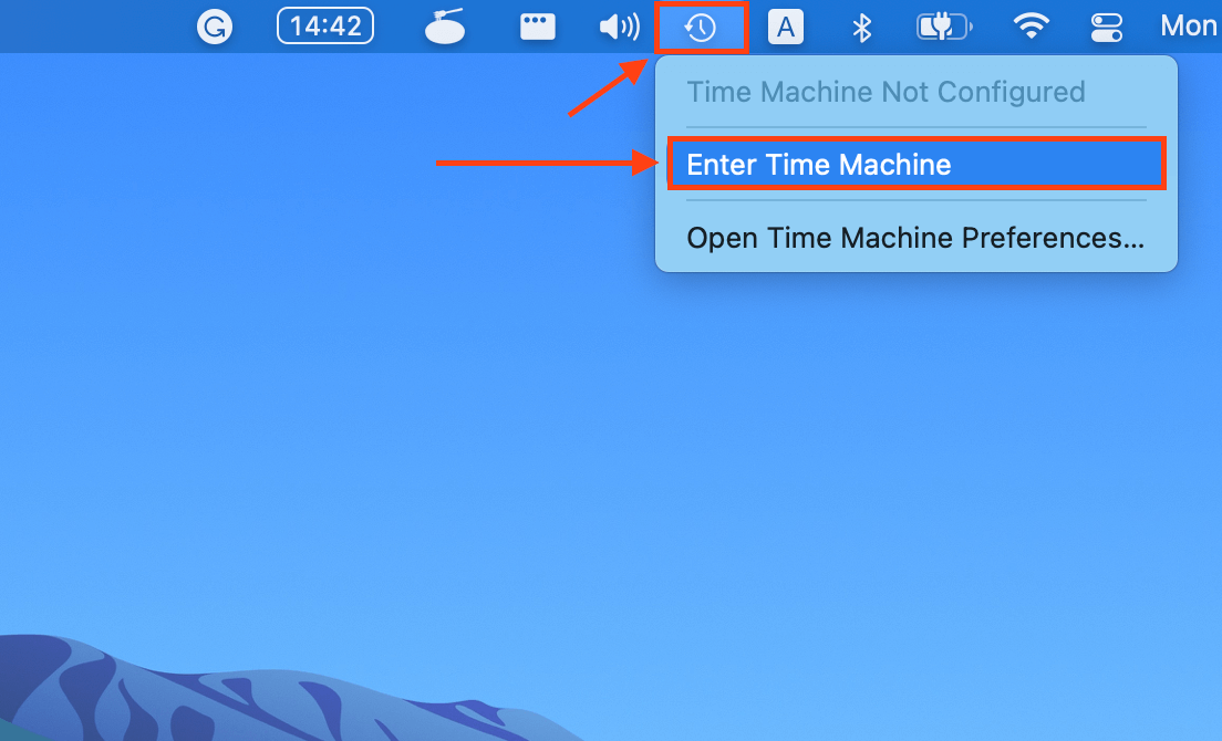 Enter Time Machine button