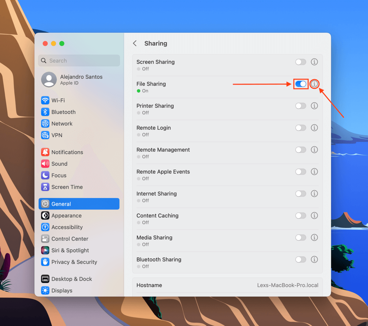 File Sharing button in System Settings