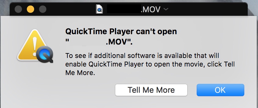 Choose QuickTime alternative for Mac in case QuickTime player can’t open .mov file