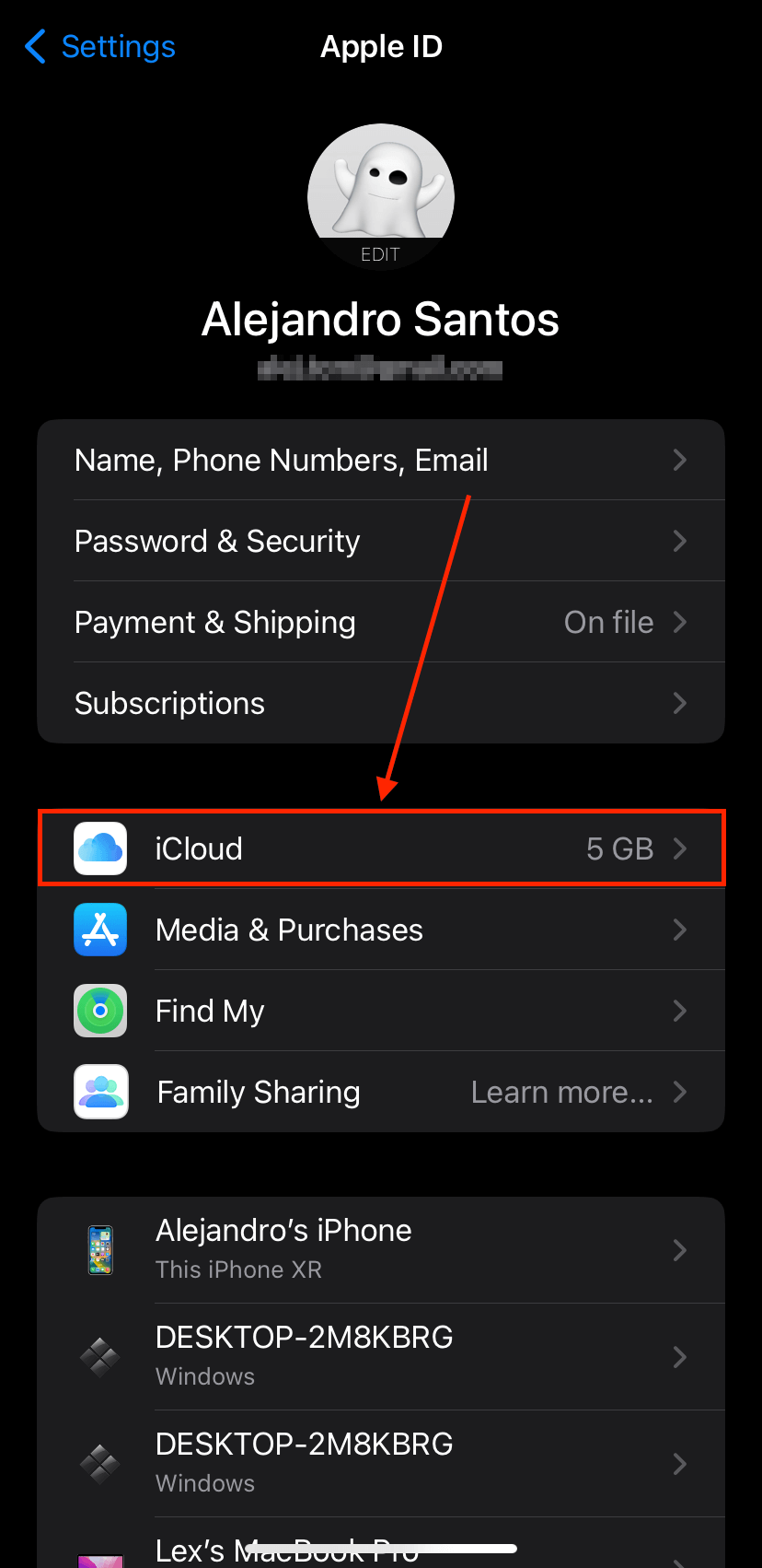 iCloud option in the Account menu of the Settings app