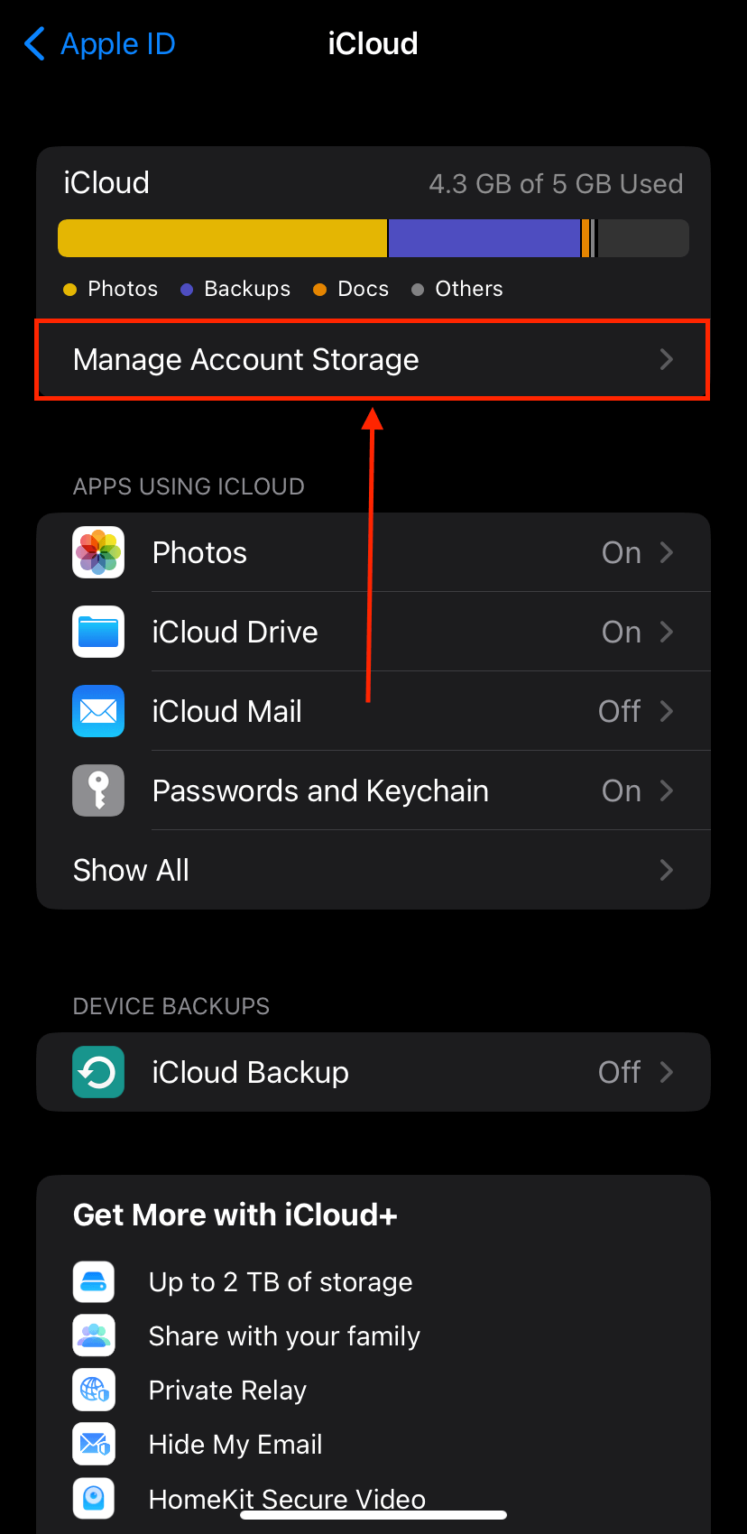 Manage iCloud option in the iCloud menu of iPhone Settings