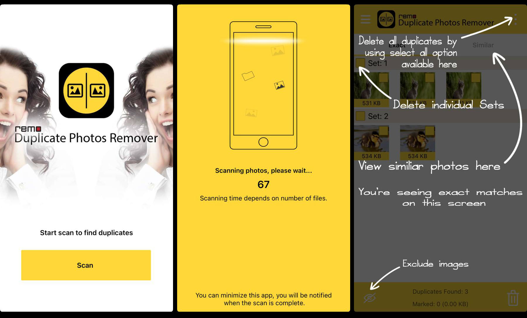 remo duplicate remover