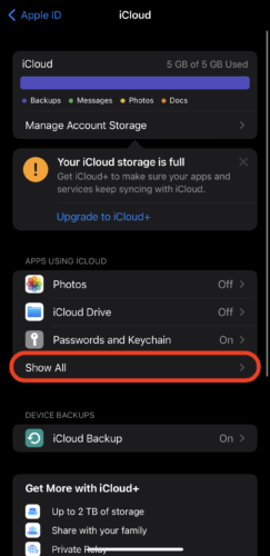 show all apps iCloud iPhone