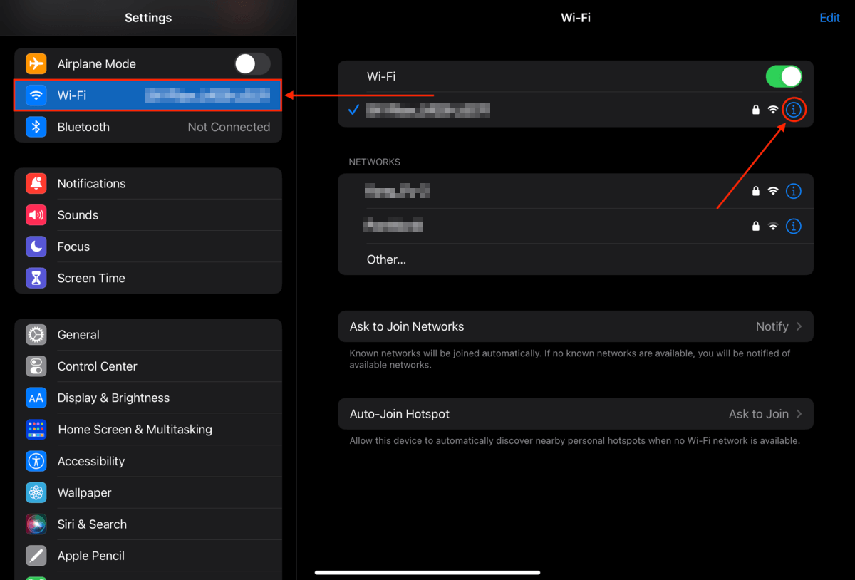 Network settings icon on the iPad