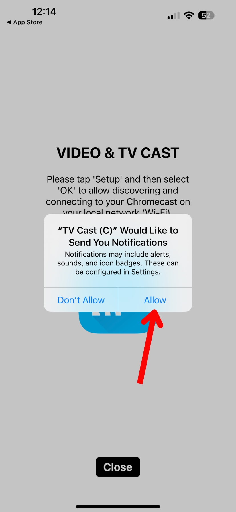 TV Cast Chromecast permissions screenshot