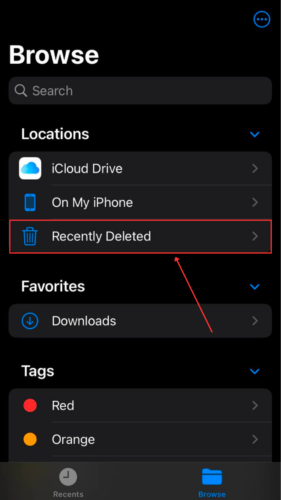 Recently Deleted option in Files