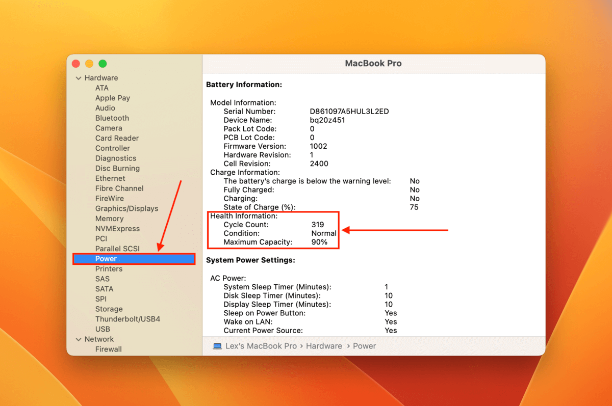 Mac System Information window