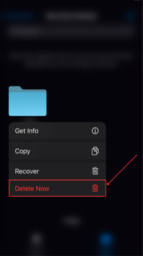 Delete Now option in Recently Deleted page