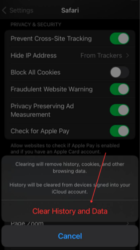 Clear History and Data option in Safari