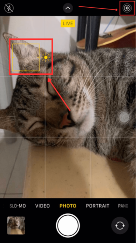 Auto Focus and Exposure Settings in Camera