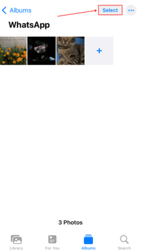 Select button in WhatsApp Album