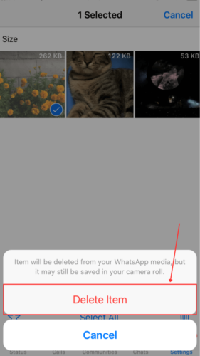 Delete button in WhatsApp Trash dialogue