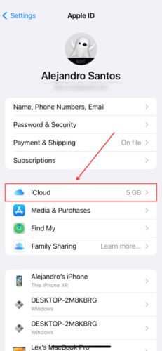 iCloud in Apple ID Menu