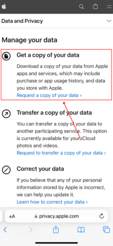 Request for Copy of Data in Apple Website