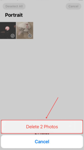 Delete button in Portrait Photos Trash dialogue