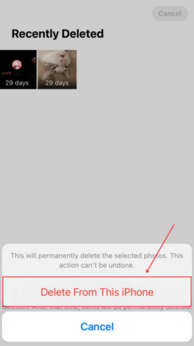 Delete From This iPhone button in Recently Deleted