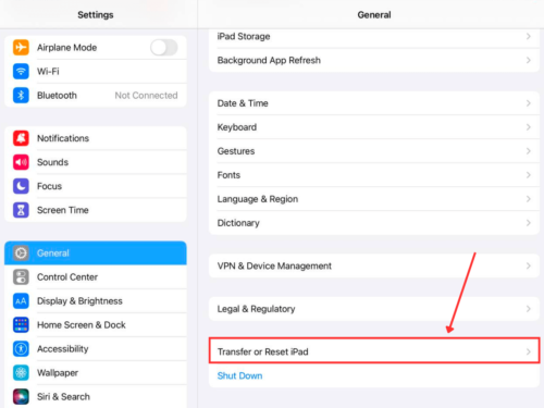Select Transfer or Reset iPad in settings