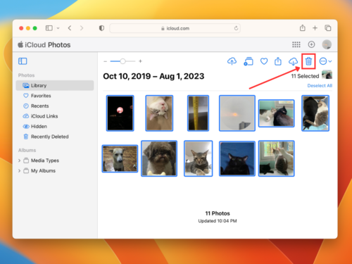 Trash icon in iCloud Photos