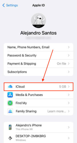 iCloud in Apple ID Menu