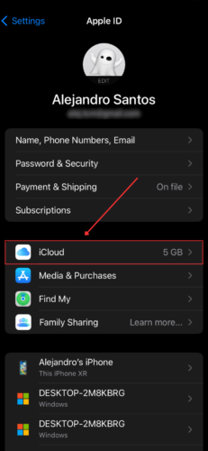 iCloud in Apple ID settings menu