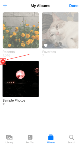 Delete button in Selected Album