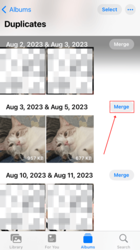 Merge button in Duplicates Album