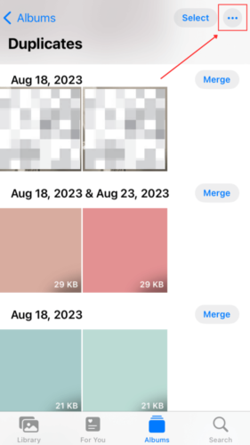 Filter option in Three dot Button Menu in Duplicates