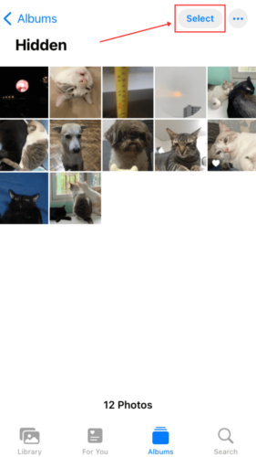 Select button in Hidden Photos