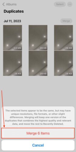 Merge Confirmation Dialogue in Duplicates Album
