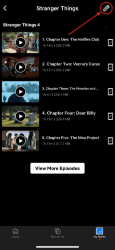 Pencil Icon in My Netflix Downloads