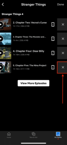 Delete Button in My Netflix Downloads