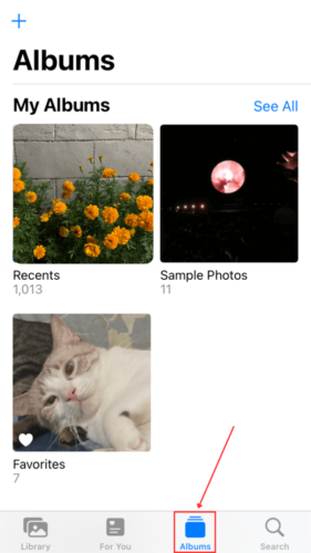Albums in Photos App