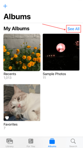 See All option in Photos Albums