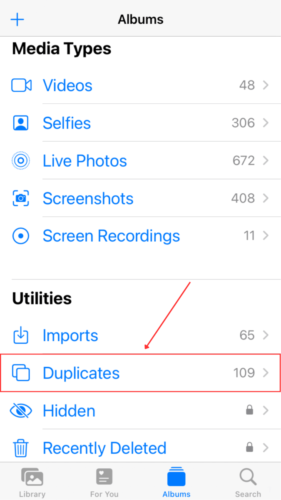 Duplicates Album in Photos Application