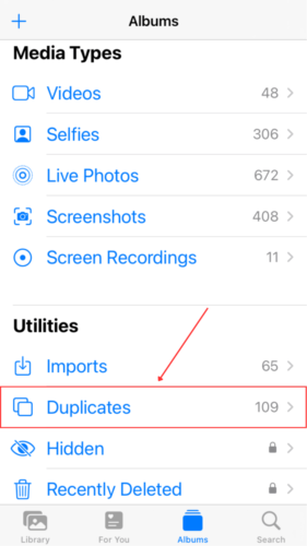 Duplicates Album in Photos