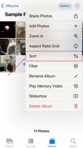 Sort option in Selected Album