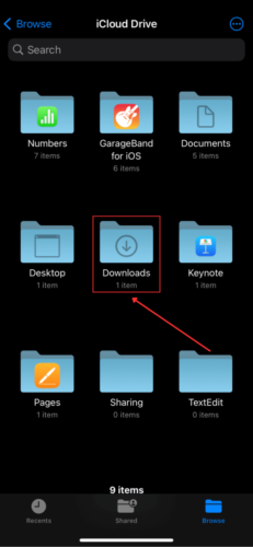 Downloads Folder in Files iCloud Drive