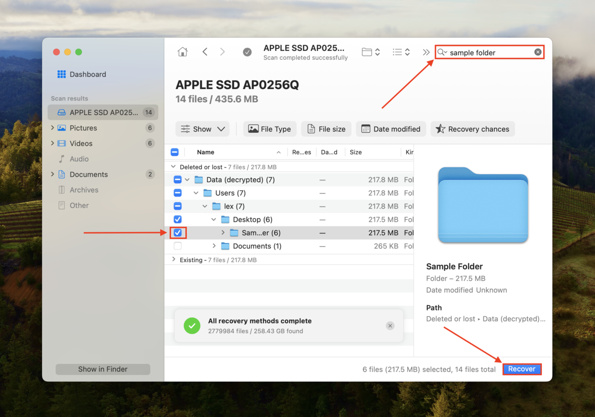 Disk Drill file search, selection, and recovery functions