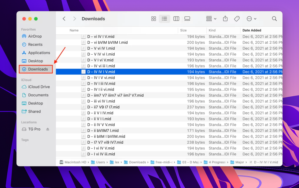 finder downloads folder with an outline highlighting the downloads shortcut in the sidebar