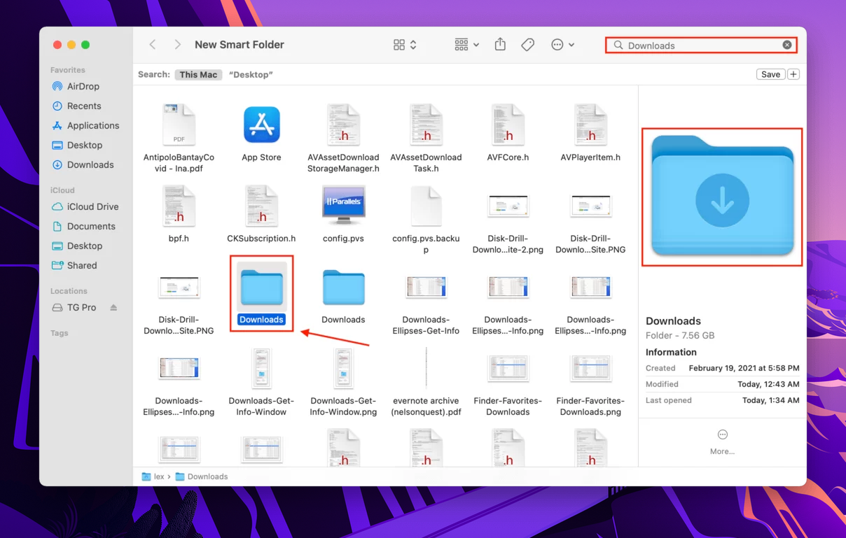 new smart folder window with an outline highlighting the downloads folder