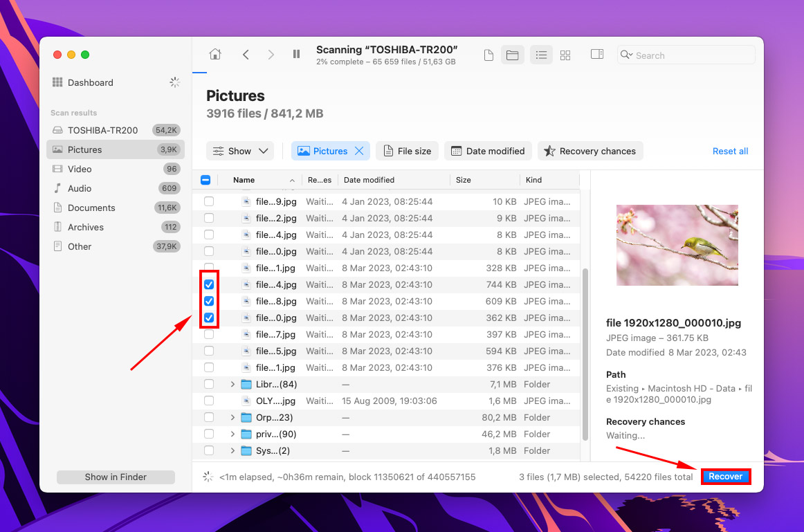 select files and recover them