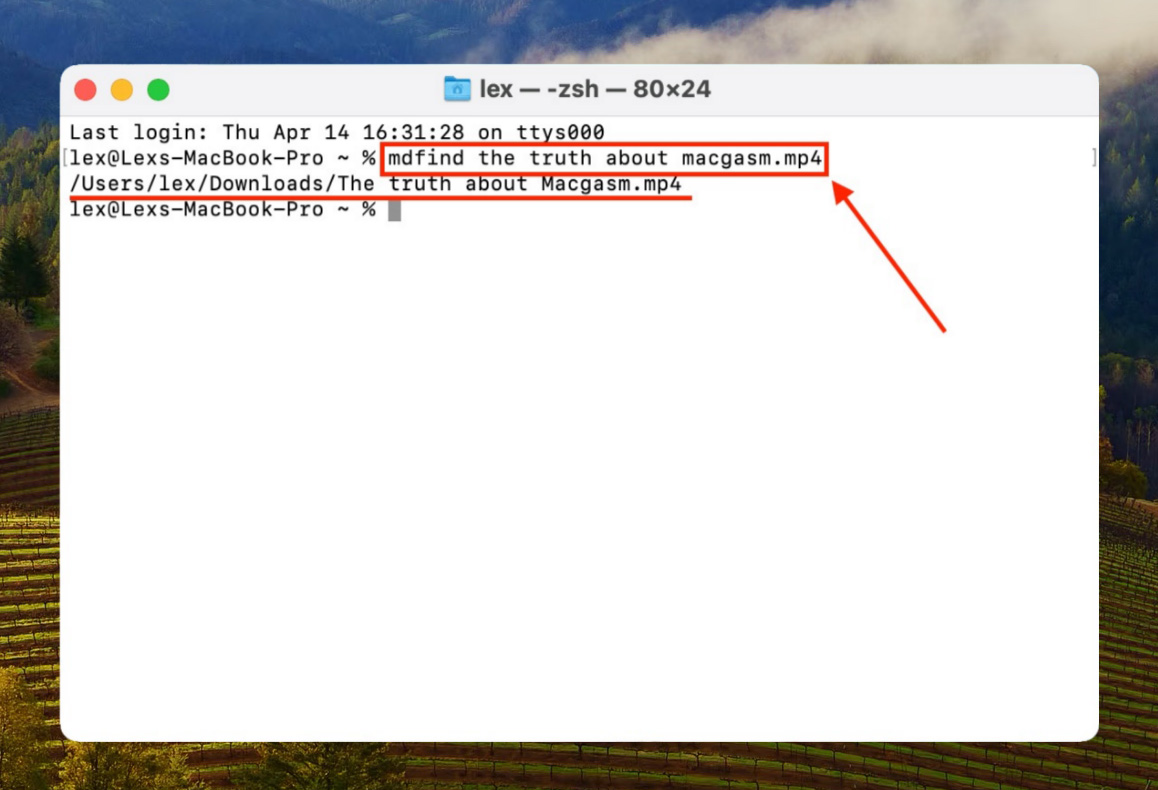 Mdfind command in the Terminal window