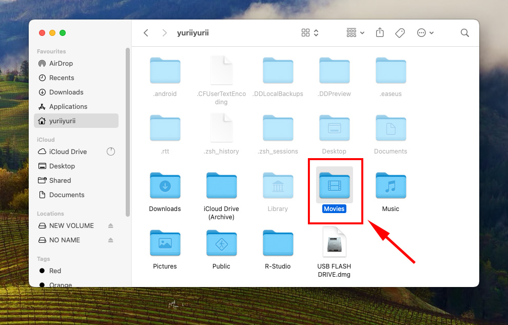 Movies folder in the Final Applications folder