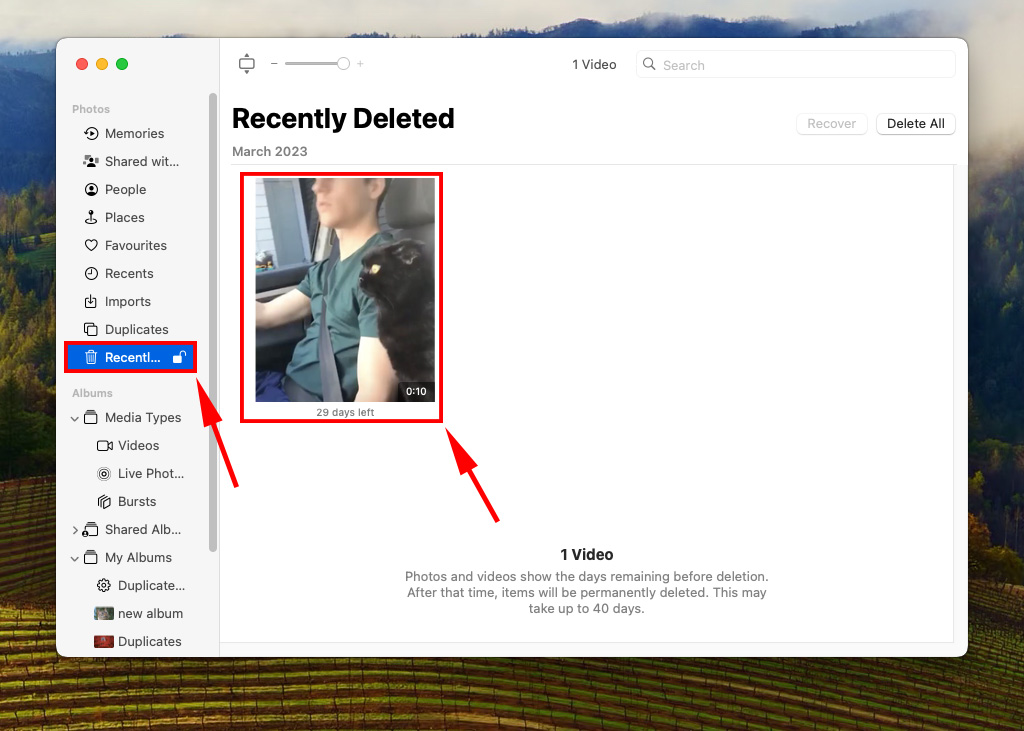Recently Deleted album in the iCloud website