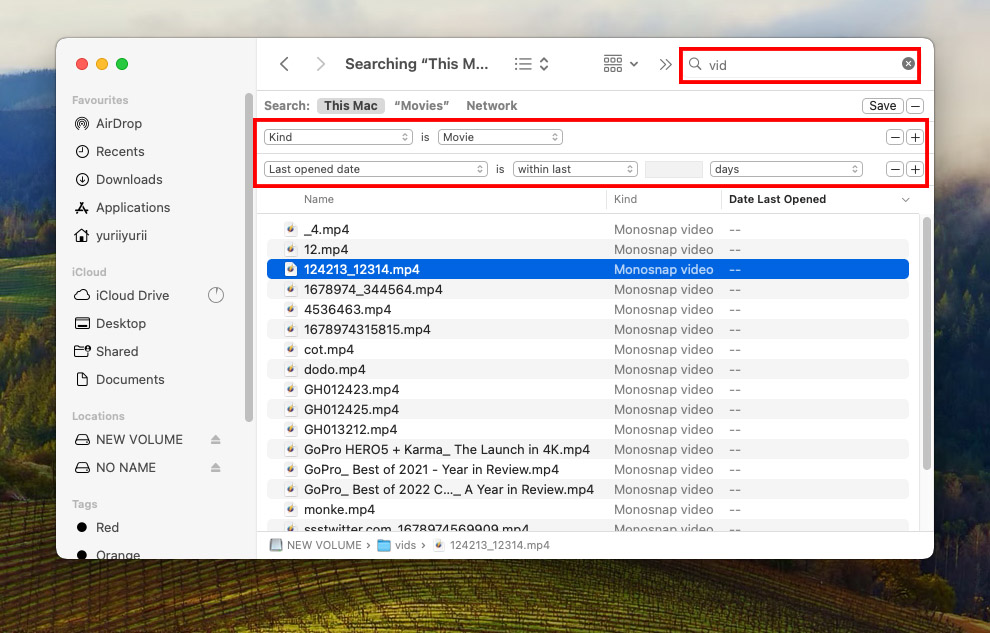 Search parameters in the Finder advanced search bar